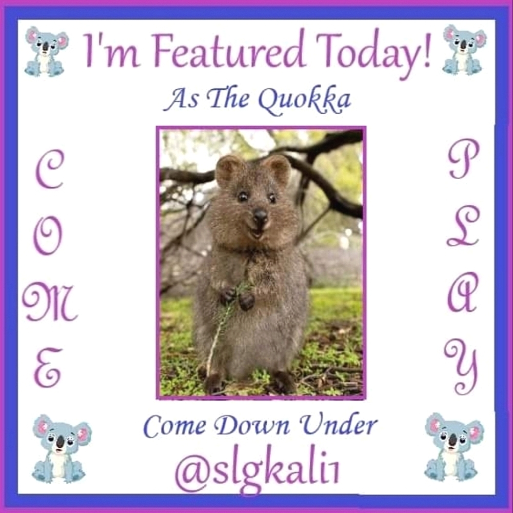 Featured Closet As "Quokka" Today!